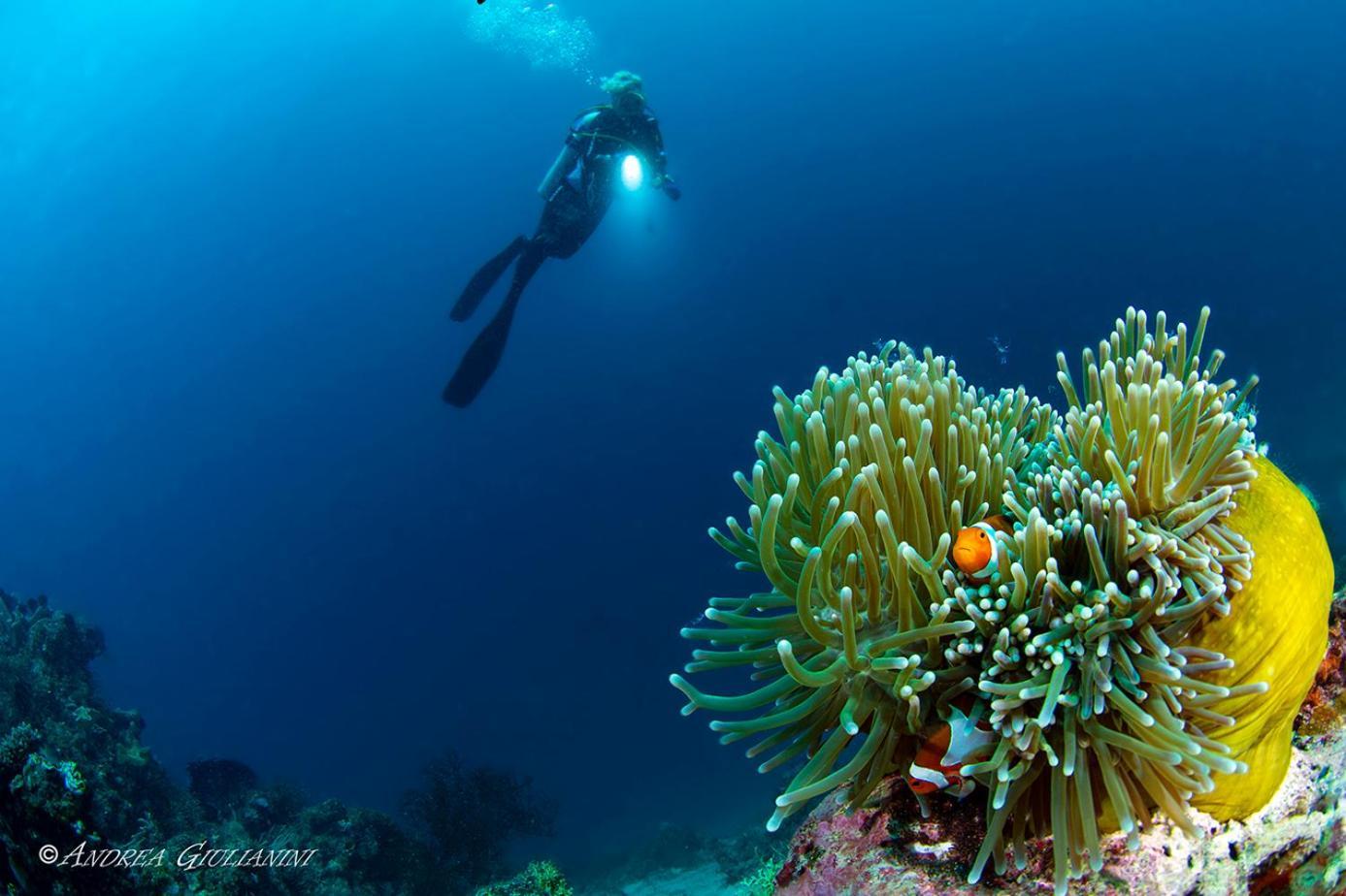 Sunset Cove Beach & Dive Resort Romblon Εξωτερικό φωτογραφία